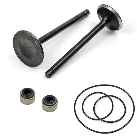YAMAHA Big Bear Bruin Wolverine Grizzly Intake Exhaust Valve (1990–2006)