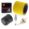 Kawasaki KVF300 Prairie 2x4 4x4 Air Filter Foam Oil Filter (1999–2002)