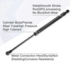 BMW 325i Rear Tailgate Lift Support Gas Struts (2006 - 2006)