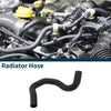 Toyota RAV4 Lower Radiator Hose (2020-2023)