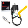Honda Rincon 650 TRX650 (2003-2005) ATV Ignition Coil & Spark Plug w/ Cap