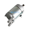 Goes 300s / 400 / 400s EFI Starter Motor (2005-2023)