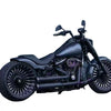 Harley Softail Street Bob Rear Fender Guard Kit (2013-2017)