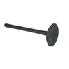 Yamaha Raptor 700 & 700R Bronco Engine Intake Valve (2006–2025)