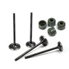 Honda Sportrax 400 TRX400EX 2x4 Cylinder Head Valve Kit (99-08)