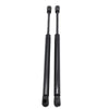 BMW Rear Trunk Lift Supports (2000-2006)