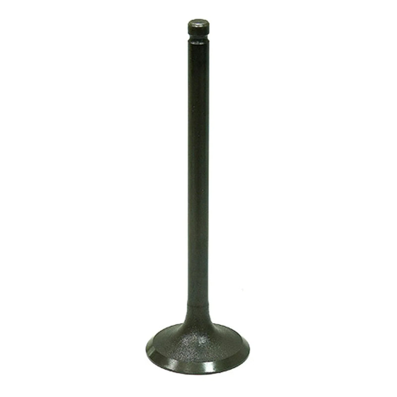 Suzuki Quadrunner 160 Engine Valve (1989–2004)