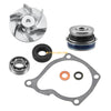 Water Pump / Impeller Seals Gasket Kit / Polaris Sportsman 400 (2001–2014)