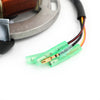 Yamaha Blaster YFS200 Stator (1997-2002)