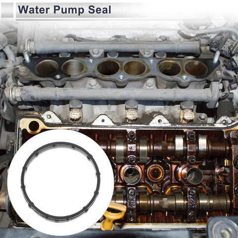Chevrolet Camaro Water Pump Seal Rubber 1Pc (2016 - 2024)