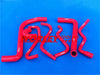 HOLDEN Commodore VY V6, Statesman WK V6 RED silicone hose (2002-2004)