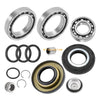 Honda Sportrax TRX250EX Rear Bearings & Seals (2001–2008)