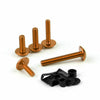 Universal Japanese Sport Bike Fairing Bolts Kit Gold