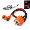 Yamaha Grizzly 2 x Ignition Coil & Spark Plug (2007–2014)