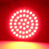 Harley 48 LED Rear Turn Signal Light Bulbs (UK)
