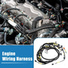 Honda Acura K-Swap CRX K20 K24 K-Series Tucked Engine Wiring Harness