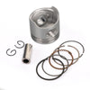Honda ST 75, Z, ZB, CRF 75F, XR 75R 40mm Piston Complete Kit +1.00 (1975-2023)