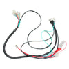 PIT Trail Dirt Quad Bike Buggy 200cc 250cc Engine DC Wiring Harness Loom