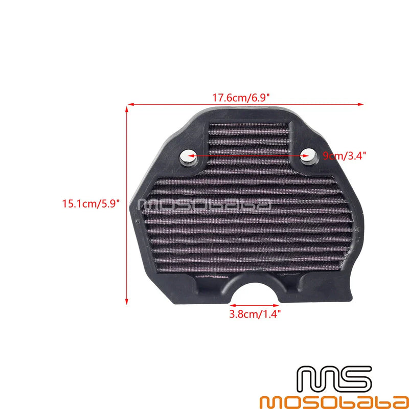BN302, BN302S Air Intake Filter Cleaner (2014-2019)