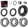 Honda Foreman 450 TRX450 FE / FM 4x4 Rear Differential Bearing & Seal Kit
