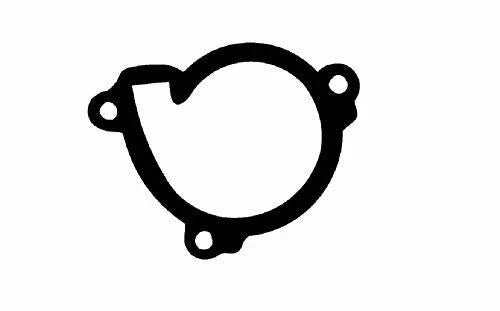 Kawasaki KLX-300R Water Pump Coolant Gasket