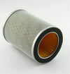 Honda CB900 919 Hornet 900 CB900F Air Filter Element (2002-2007)