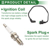 Honda TRX250X 2013-2019 Ignition Coil (1 Set)