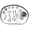 Pajero NM NP NS NT NW Timing Belt Kit + Water Pump (2000 - 2013)