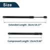 Ford Crown Victoria Hood Lift Supports Struts (1992-2011)