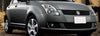 Swift Lower Radiator Grille (2007-2009)