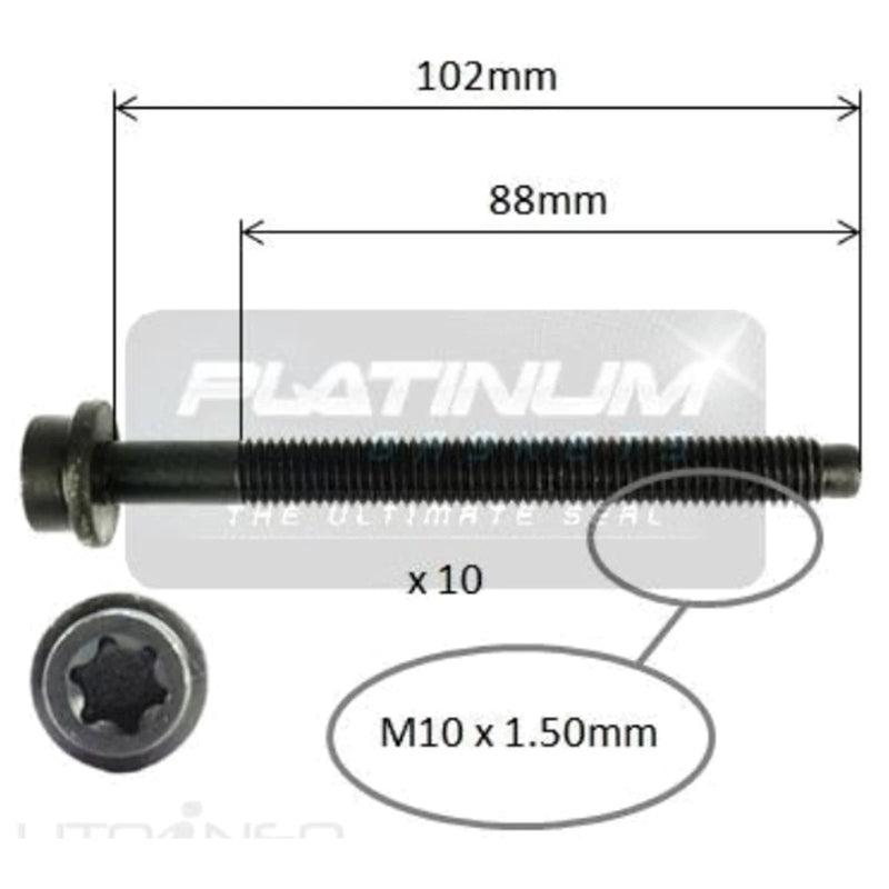 Ford Focus Engine Cylinder Head Bolt Set (2002-2005)