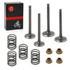 EZGO 4 Cycle Gas Golf Cart 350cc EH35C Intake Valve Set (2003–2008)
