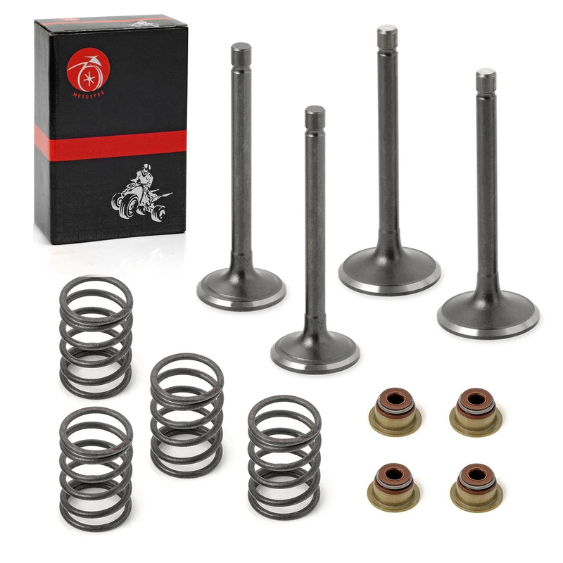 EZGO 4 Cycle Gas Golf Cart 350cc EH35C Intake Valve Set (2003–2008)