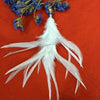 Earrings / Feather Dangle Hyperbolic Wire Jewelry Women