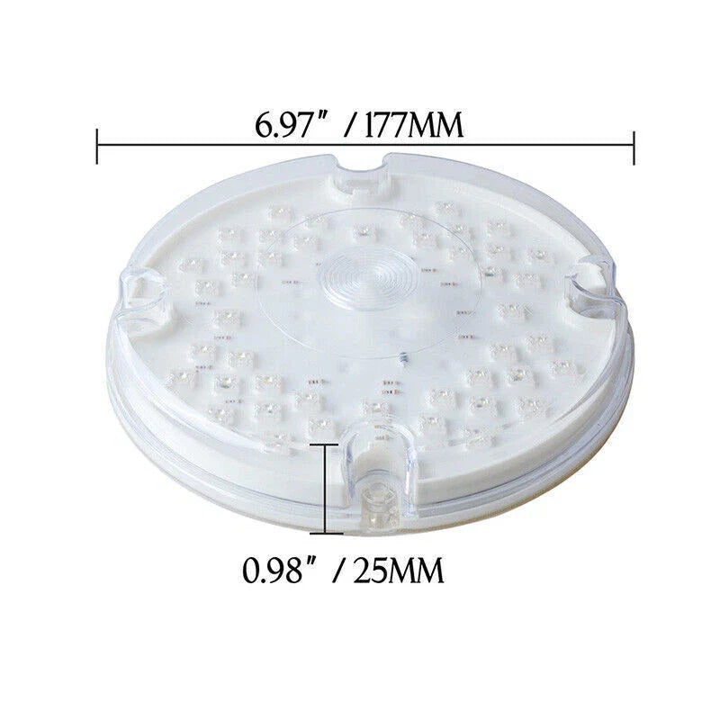 Bus Truck Trailer 2 x 7" Round LED Tail Brake Lights ( Specified)
