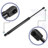 Ford Focus Rear Hatch Lift Supports (2000-2004)