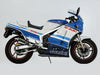 Suzuki RG500 Gamma Stainless Fairing & Windshield Screws (1985-1987)