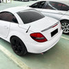 Benz R171 Rear Boot Spoiler Lip (2005-2010)