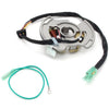Yamaha YFS200 Blaster Stator Coil (1988-2002)