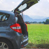 Nissan Rear Tailgate Lift Supports (2013-2019)