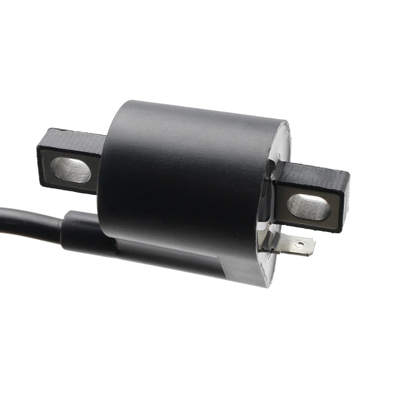 Polaris Scrambler 50 / 90, Aeon Revo 50 / 100 CDI Module (2000-2023)