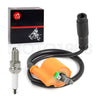 Kawasaki Teryx4 Ignition Coil Pack + Spark Plug + Cap (2014–2022)