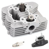 Honda Recon 250 TRX250TM 2x4 Cylinder Head Assy Kit (2002–2014)