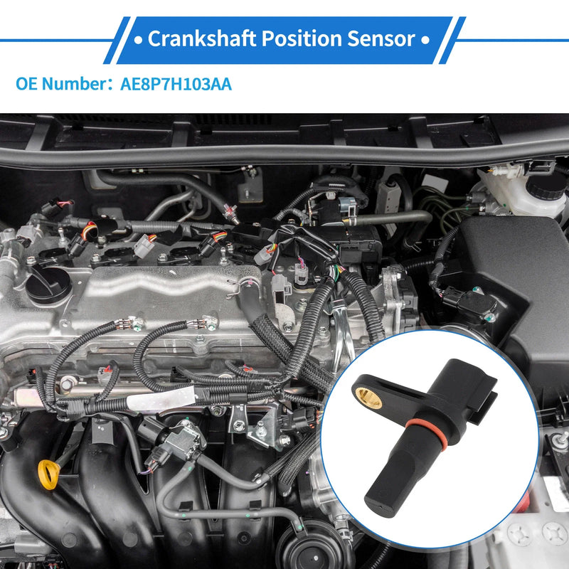 Ford C-MAX (2014-2016) 1 Pc Black Crankshaft Position Sensor