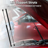 Mini Cooper R50 / R52 / R53 Hood Lift Supports Struts (2002-2006)