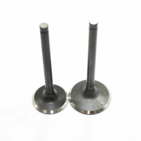 PIT PRO TRAIL DIRT BIKE 125cc 140cc Engine Head Intake Exhaust Valves