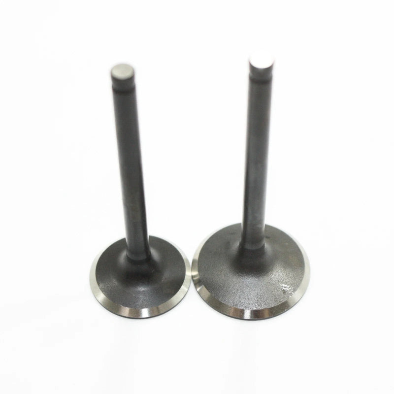 PIT PRO TRAIL DIRT BIKE 125cc 140cc Engine Head Intake Exhaust Valves