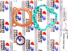 Honda NU50 Top End Engine Gasket Set (1982-1983)