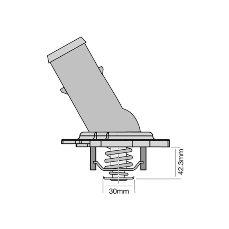 Toyota Hilux Thermostat / V6 4.0L 1GR-FE / Thermostat (2005–2017)