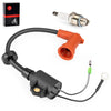 Yamaha Outboard 2-Stroke 9.9-250HP Ignition Coil & Spark Plug